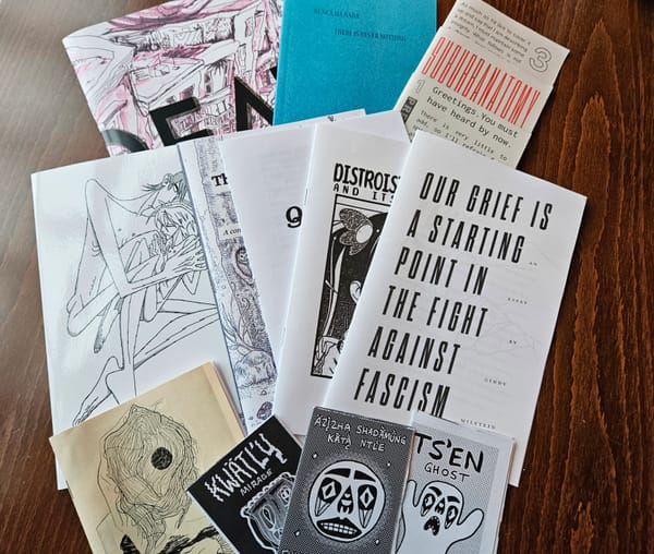 an array of twelve zines and art books of varying shapes and sizes